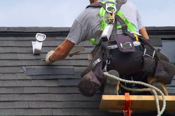 Best Flat Roof Repair Services  in Hamton, IL
