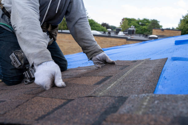 Best Best Roofing Contractors  in Hamton, IL