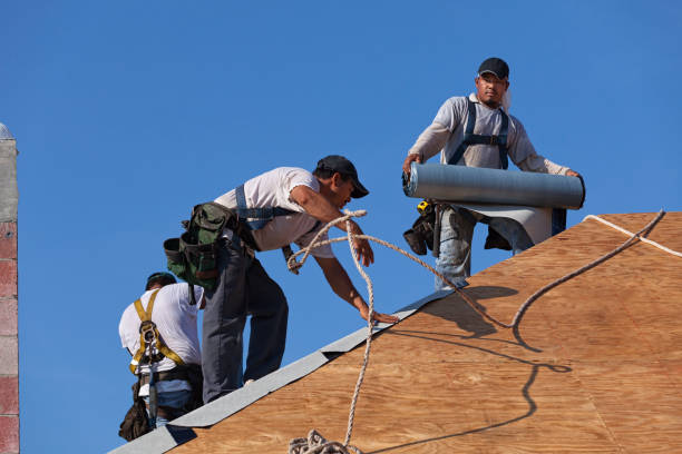 Best Roof Repair Services  in Hamton, IL