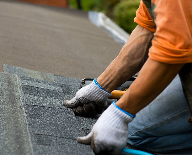 Professional Roofing Contractor in Hamilton, IL